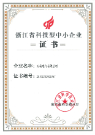 浙江省科技型中小企业